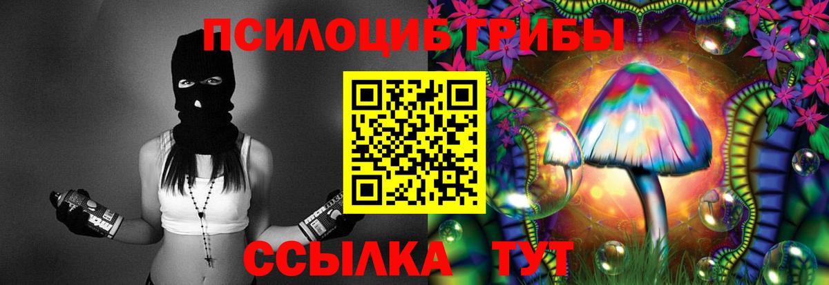 Галлюциногенные грибы Psilocybe Ликино-Дулёво